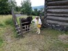 IMG_20200802_113401