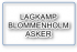 Asker vant for andre år på rad mot Blommenholm