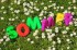 Sommerbridge 2016